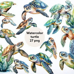 Aquarelle Sea Turtle Clipart, animaux de l’océan nautique PNG téléchargement instantané haute résolution, 12x12, utilisation commerciale