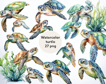Watercolor Sea Turtle Clipart, nautical ocean animals PNG instant download download High resolution, 12x12, commercial use