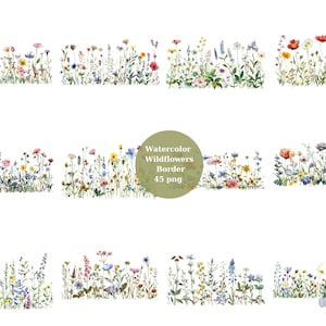 45 fleurs sauvages bordures aquarelle Clipart, Clipart Floral, fichiers numériques PNG sur fond transparent, sublimation, usage commercial
