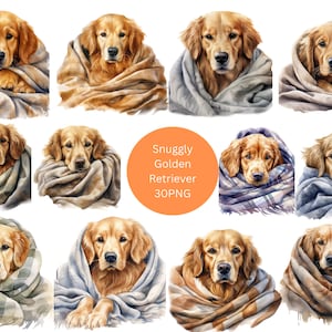 30 kuschelige Golden Retriever Aquarell Clipart, Haustiere Clipart, PNG einzelne Bilder auf transparentem Hintergrund, Sublimation