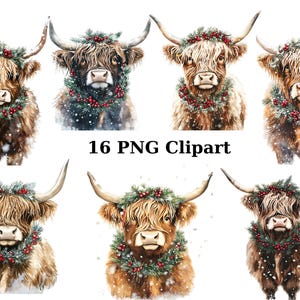 16 クリスマス ハイランド牛 水彩画 クリップアート、クリスマス クリップアート、透明な背景の PNG 個別画像、昇華