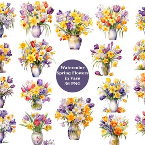 Acquerello 36 fiori primaverili in vaso Clipart, singole immagini PNG su sfondo trasparente, sublimazione, uso commerciale