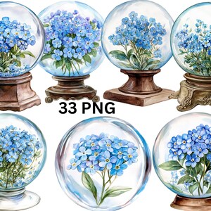 33 myosotis en clipart aquarelle boule de cristal, fichiers numériques PNG sur fond transparent, sublimation, usage commercial