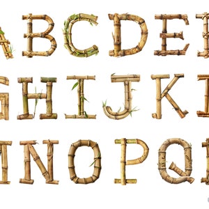 Clipart Bamboo Alphabet, file digitali PNG su sfondo trasparente, scrapbook, sublimazione, uso commerciale