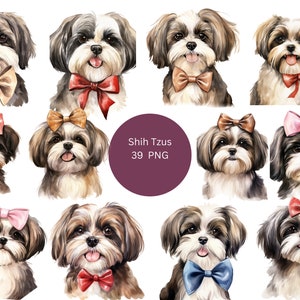 39 images clipart Shih Tzu aquarelle, clipart chiens, PNG sur fond transparent, sublimation