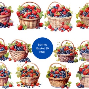 Panier 29 baies aquarelle Clipart, clipart de fruits, images individuelles PNG sur fond transparent, sublimation, usage commercial