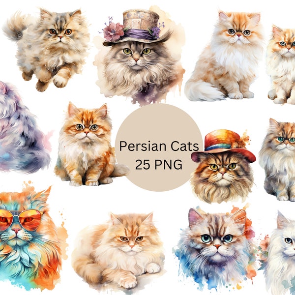 Watercolor Persian Cats Clipart, PNG digital files on a transparent background, scrapbook, invitations