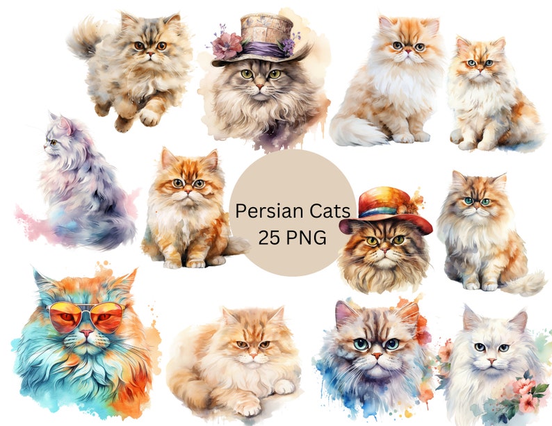 Watercolor Persian Cats Clipart PNG Digital Files on a - Etsy