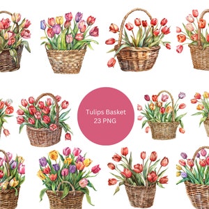 23 Tulips Baskets Watercolor Clipart, Floral Clipart, PNG digital files on transparent background, sublimation, commercial use