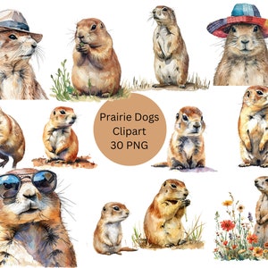 Clipart de cães da pradaria em aquarela, arquivos digitais PNG em fundo transparente, sublimação, uso comercial