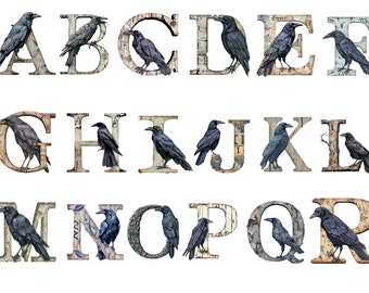 Watercolor Crow Alphabet , Crow letters, PNG images, download for commercial use, High resolution, 12x12, instant download