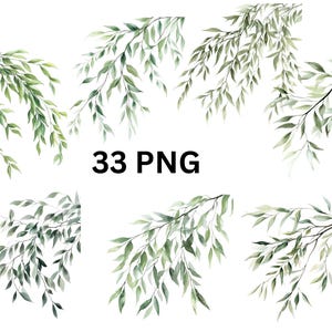 Weidenzweige Clipart | 33 PNG, PNG Einzelbilder auf transparentem Hintergrund, Sublimation