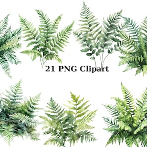 21 cliparts aquarelle de fougères forestières, clipart floral, images individuelles PNG sur fond transparent, sublimation