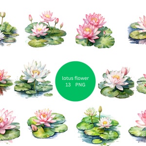 13 蓮の花の水彩画クリップアート、花のクリップアート、透明な背景の PNG 個別画像、昇華