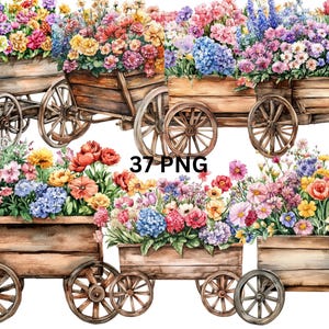 37 Blumenwagen Aquarell Clipart, PNG digitale Dateien auf transparentem Hintergrund, Sublimation, kommerzielle Nutzung