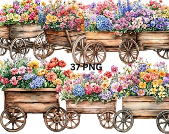 37 Blumenwagen Aquarell Clipart, PNG digitale Dateien auf transparentem Hintergrund, Sublimation, kommerzielle Nutzung