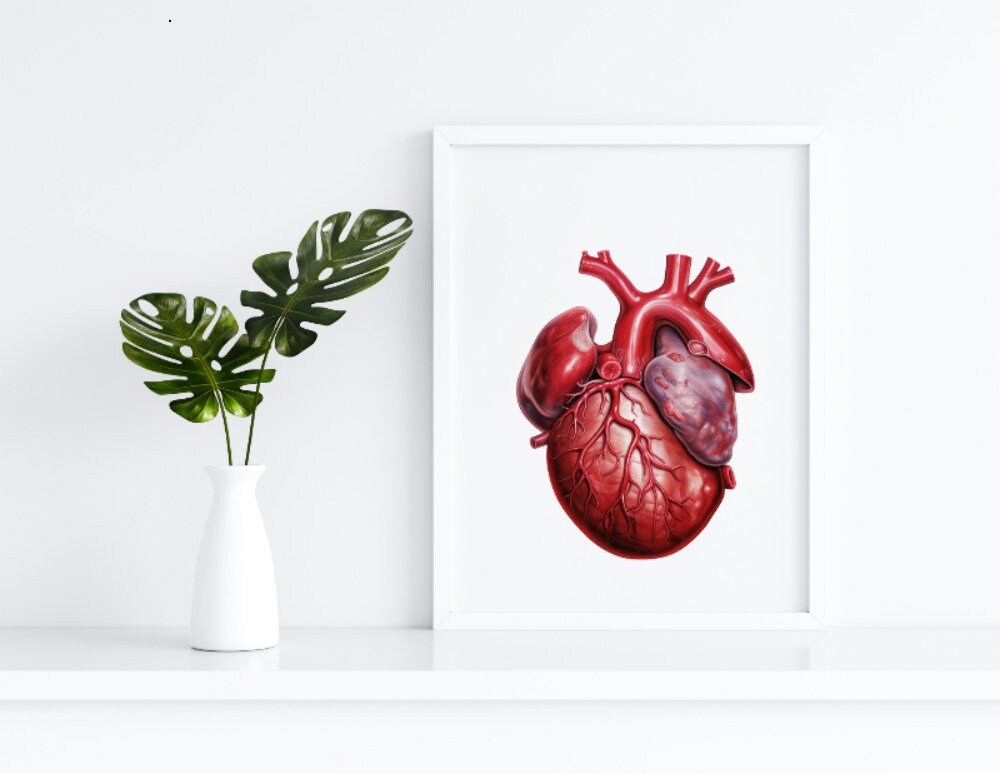 Organs Border Transparent Human Organs Clipart, Transparent Background, High Quality, Clipart ...