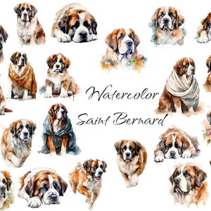 Aquarel Saint Bernard Clipart, digitale PNG-bestanden, hondenrassen, plakboek, uitnodigingen, commercieel gebruik, instant download