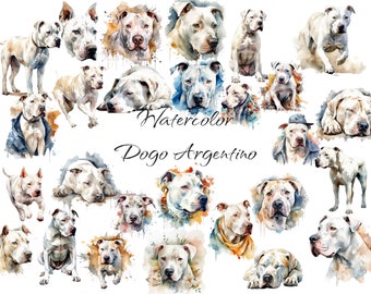 Watercolor Dogo Argentino clipart, PNG digital files on a transparent background, scrapbook, invitations, commercial use instant download