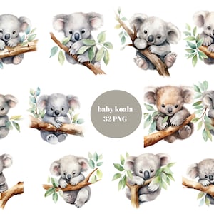 Baby Koala Aquarell Clipart, Tiere Clipart, PNG Einzelbilder auf transparentem Hintergrund, Sublimation, kommerzielle Nutzung