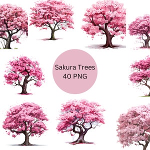 Sakura Trees Clipart, archivos digitales PNG sobre fondo blanco, álbum de recortes, sublimación, uso comercial