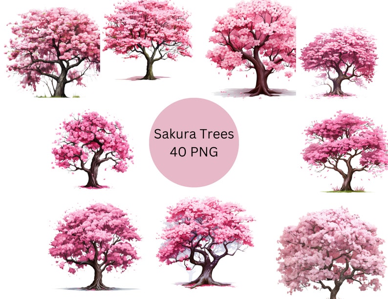 Sakura Tree Graphics Sakura Trees Clipart PNG Digital Files on a White Background - Etsy Canada