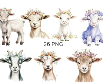 Kolekcja clipartów z kwiatowymi kozami - 26 uroczych ilustracji PNG z małymi kozami i wiankami z kwiatów, pojedyncze obrazy PNG na przezroczystym tle