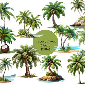 Könnte beinhalten: Ein digitaler Clipart-Satz mit 32 PNG-Bildern, die verschiedene Illustrationen von grünen Kokospalmen mit braunen Stämmen und Kokosnüssen zeigen. Die Bilder sind vor einem weißen Hintergrund platziert.