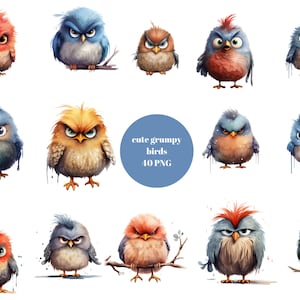 40 Grumpy Birds Aquarell Clipart, süße flauschige Vögel, PNG-Einzelbilder auf transparentem Hintergrund, Sublimation, kommerzielle Nutzung