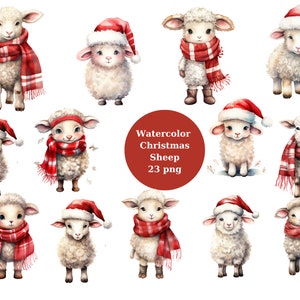 Christmas Sheep Bundle, Farm Animals, Aquarelle, 23 images PNG, fond transparent, clipart, haute qualité, 12x12, utilisation commerciale