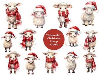Christmas Sheep Bundle, Farm Animals, Watercolour, 23 PNG images, transparent background, clipart, high quality, 12x12, commercial use