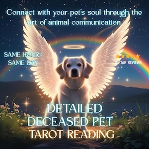 May include: An illustration of a dog with angel wings and a halo, set against a night sky with a rainbow. Text includes "Connect with your pet's soul through the art of animal communication," "Detailed Deceased Pet Tarot Reading," and "Same Hour/Same Day."