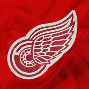 Detroit Red Wings hockey team, waterproof vinyl sticker Clearance sale!!!