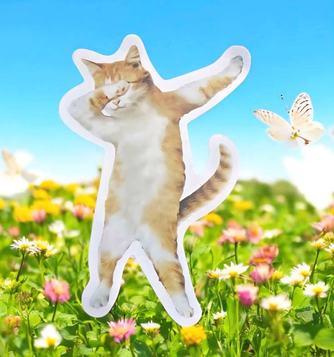 Orange and White Dancing Tabby Cat Waterproof Vinyl Sticker, Clearance ...