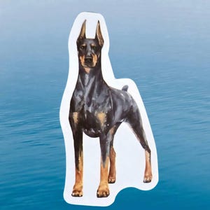 Dobermann hond waterdichte vinylsticker, uitverkoop!!!