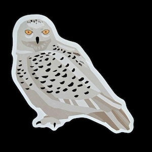 Snowy owl waterproof vinyl sticker, clearance sale!!!