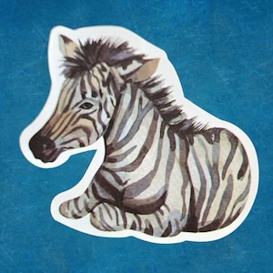 Zebra waterproof vinyl sticker, clearance sale!!!
