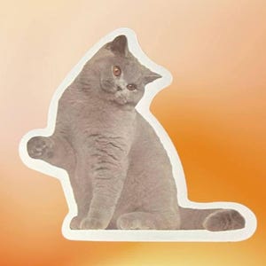 灰色の猫の防水ビニールステッカー、クリアランスセール!!! カナダ国内送料無料!!