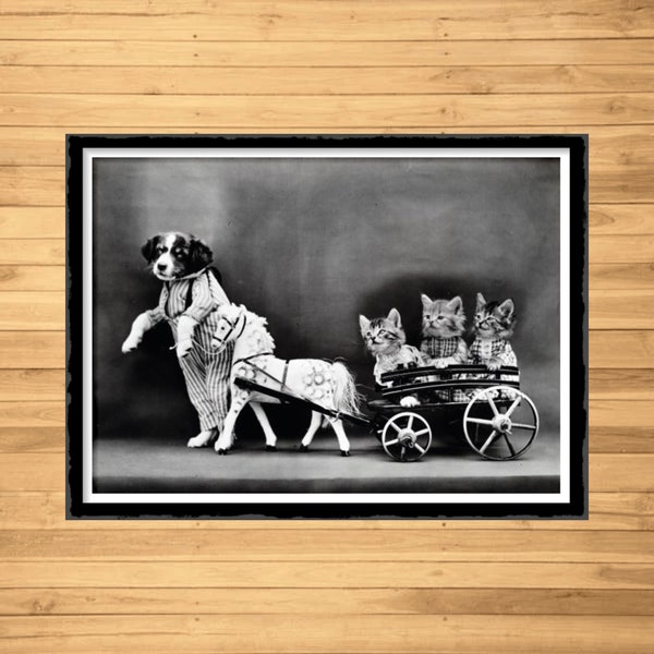 childish photo - kittens on a walk - whimsical scene - black and white photo - painting for children - downloadable artwork