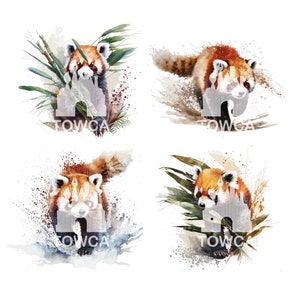 Conjunto de 8 panda rojo digital, imágenes prediseñadas de acuarela, imágenes prediseñadas de dibujos animados, arte de camisa, paquete de dibujos animados. Ilustraciones vectoriales, png, archivos pdf