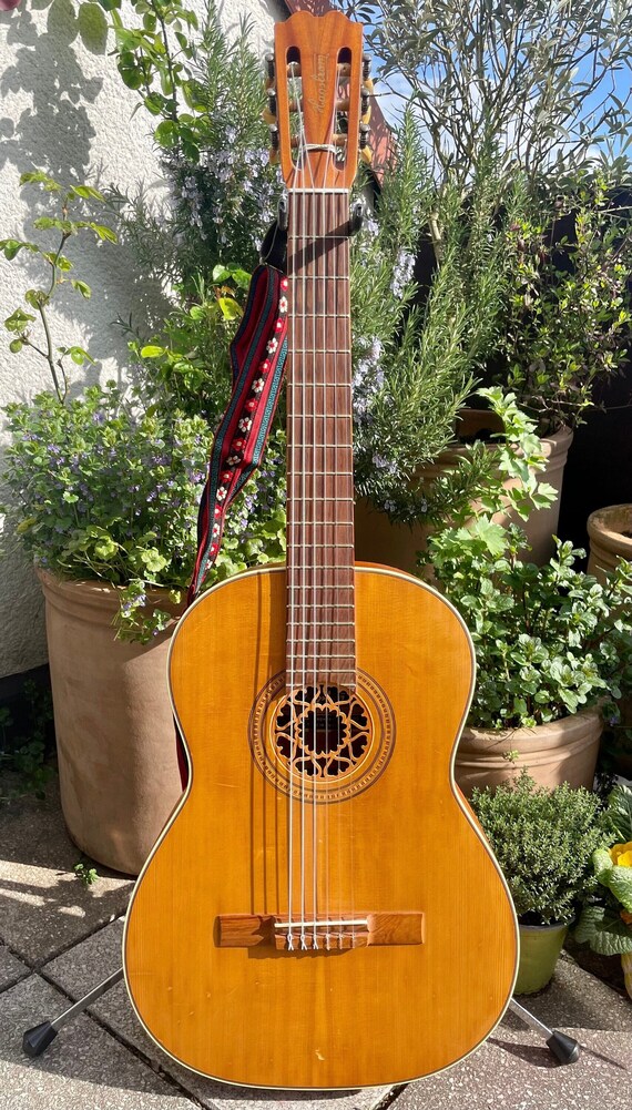 Hagstrom outlet classical guitar