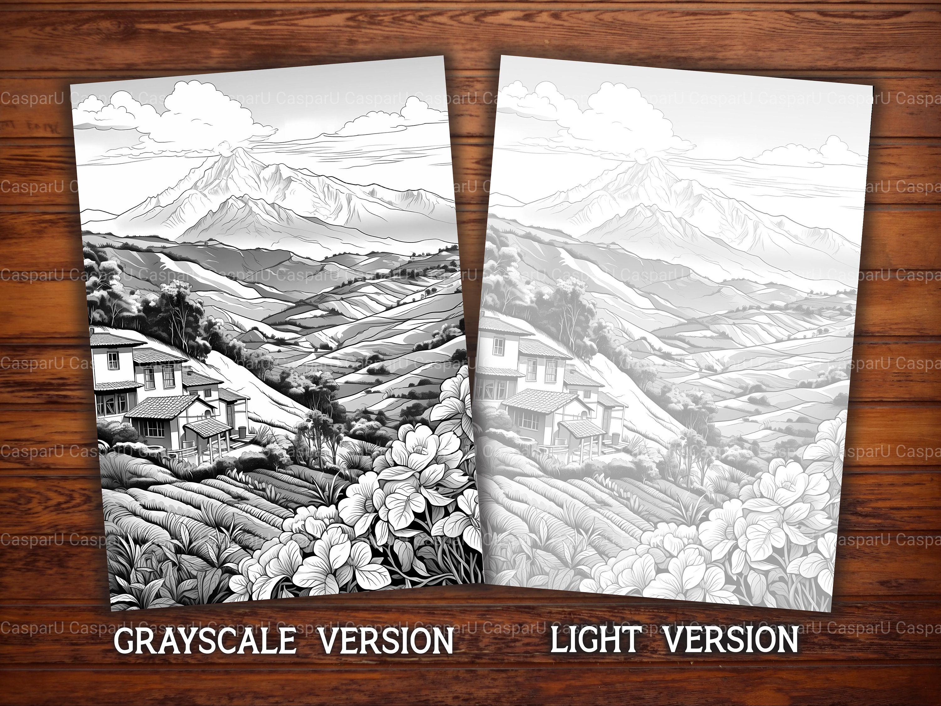 South America Travel Coloring Pages for Adults and Kids 37 Geography