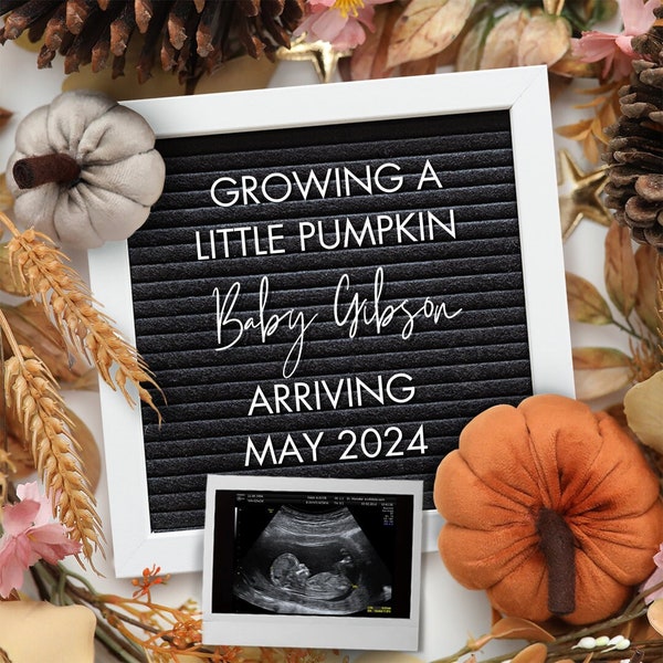 Fall Pregnancy Announcement Digital Gender Neutral Baby Announcement Social Media Reveal Instant Editable Template Boho Autumn Love Canva