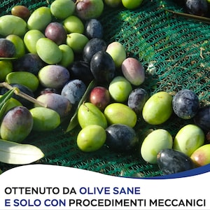 May include: A close-up of a green net filled with olives. The olives are a mix of green, black, and purple. The text "OTTENUTO DA OLIVE SANE E SOLO CON PROCEDIMENTI MECCANICI" is visible at the bottom of the image.