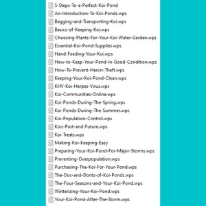 May include: A list of 27 files titled with topics related to koi ponds. The files are in a light blue folder with a white border.