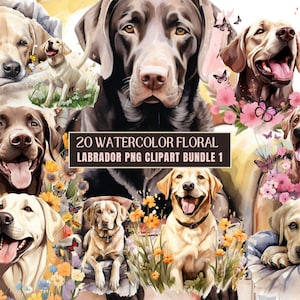 Yellow & Black Lab PNG: Paquete de imágenes prediseñadas de acuarela floral de Labrador Retriever, retratos de perros lindos, ilustraciones de razas de perros Golden Retriever 1