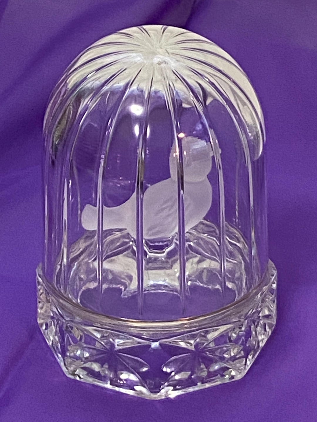 Lead Glass Bird Enclosure