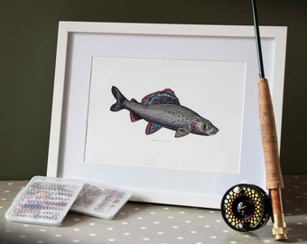 Ilustración de tímalo (Thymallus), dibujada a mano, impresión de alta calidad, tamaño A4. Lámina decorativa, regalo para pescadores.