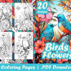 Adult Color By Number Coloring Book: Large Print Birds, Flowers, Animals and Pretty Patterns [Book]