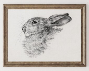 Vintage Rabbit Sketch, Printable Wall Art, Bunny Rabbit Drawing, Neutral Animal Print, Farmhouse Nursery Minimalist Decor, Digital Download